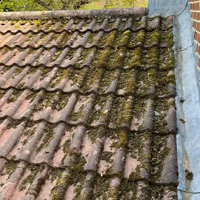Dirty Roof Clean
