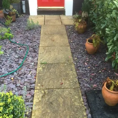 Path Way Cleaning