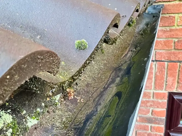 Gutter Cleaning Gt Yarmouth